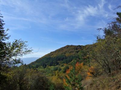 Прикрепленное изображение: DSCF5840.jpg